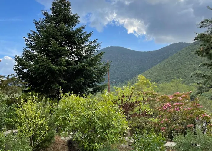 Вилла Horizon *