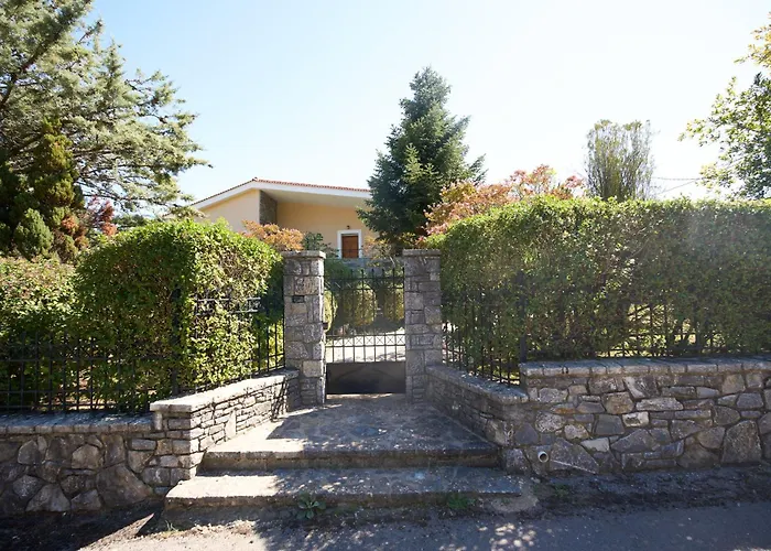 Horizon * Левидхион